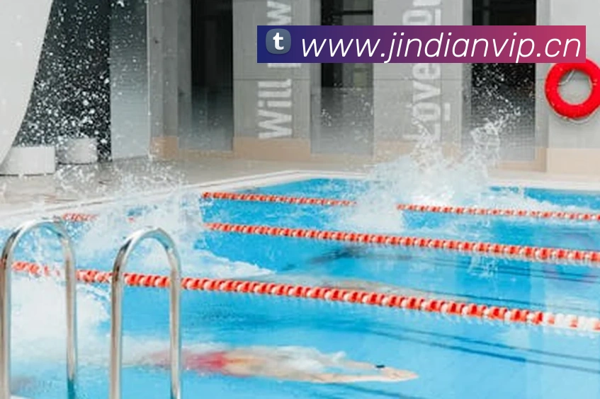 App Interface Preview